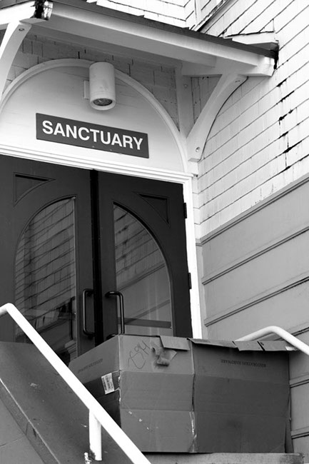 Cardboard Box Sanctuary