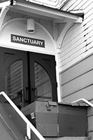 Cardboard Box Sanctuary